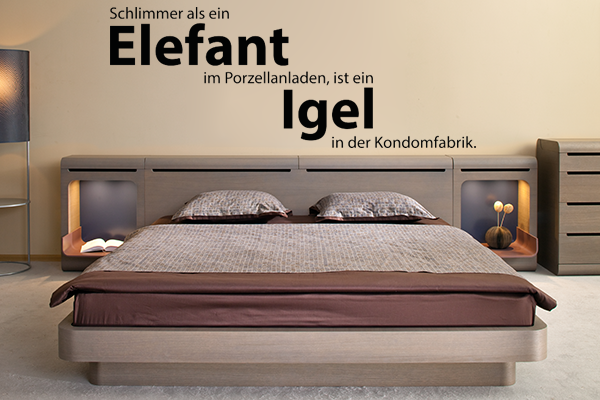 Elefant & Igel