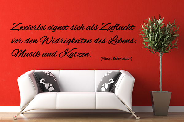 Zweierlei eignet sich als Zuflucht vor den Widrigkeiten des Lebens: Musik und Katzen.